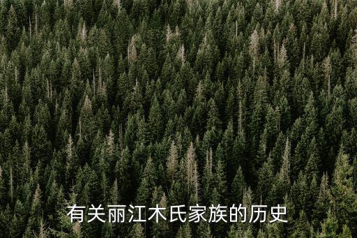 木天王,徐霞客筆下的麗江古城建筑群是建筑天王的化身