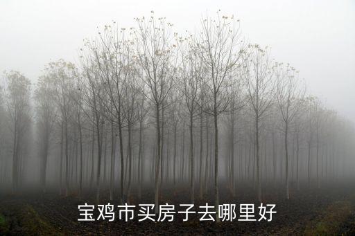 寶雞市買房子去哪里好