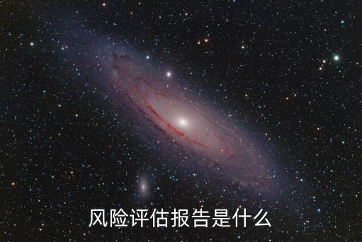 風險評估報告是什么