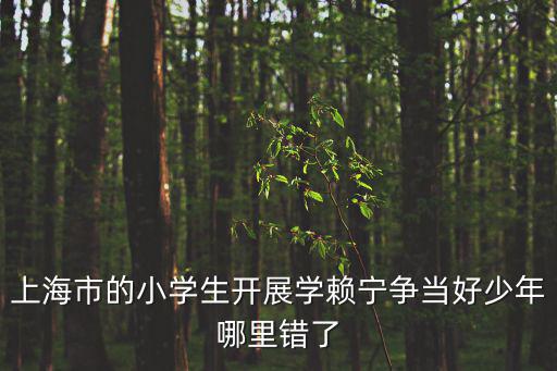 上海市的小學生開展學賴寧爭當好少年哪里錯了