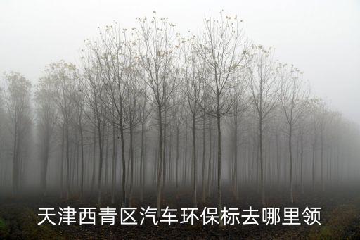 天津市西青區環境保護，天津西青區汽車環保標去哪里領