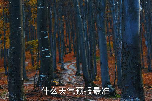 什么天氣預報最準
