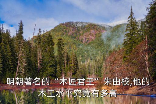 明朝木工皇帝,魏忠賢一手遮天明朝木匠皇帝是誰?