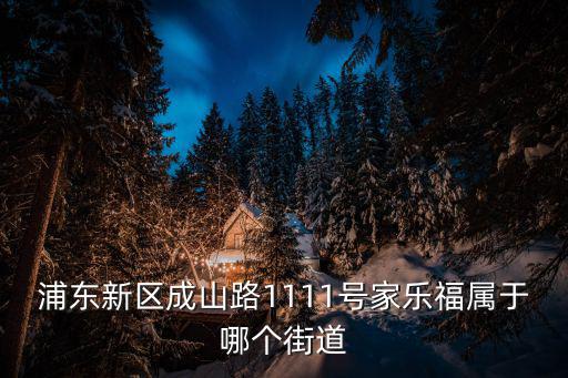 浦東新區(qū)成山路1111號(hào)家樂(lè)福屬于哪個(gè)街道