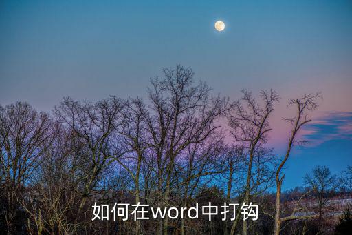 如何在word中打鉤