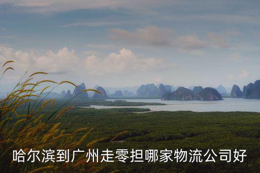哈爾濱到廣州的貨運，哈爾濱到廣州貨物運輸如何走最經(jīng)濟