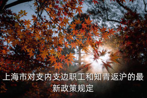 上海市對支內支邊職工和知青返滬的最新政策規定