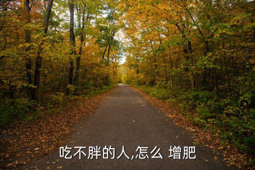 吃不胖的人,怎么 增肥