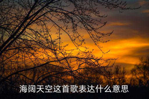當(dāng)我們海闊天空,第二集:第二場選區(qū)競選廣播