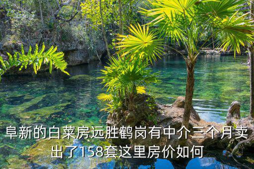 阜新的白菜房遠勝鶴崗有中介三個月賣出了158套這里房價如何