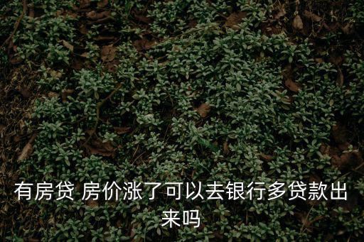 有房貸 房價漲了可以去銀行多貸款出來嗎
