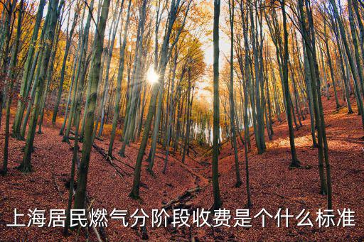 上海居民燃氣分階段收費是個什么標準
