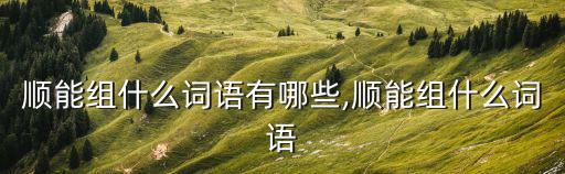 順能組什么詞語有哪些,順能組什么詞語