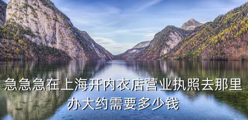 急急急在上海開內衣店營業執照去那里辦大約需要多少錢