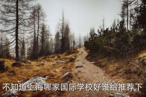 不知道上海哪家國際學校好誰給推薦下