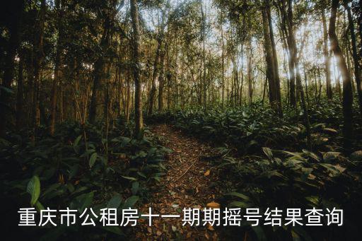 重慶市第31批公租房搖號結果查詢，重慶市公租房審核結果