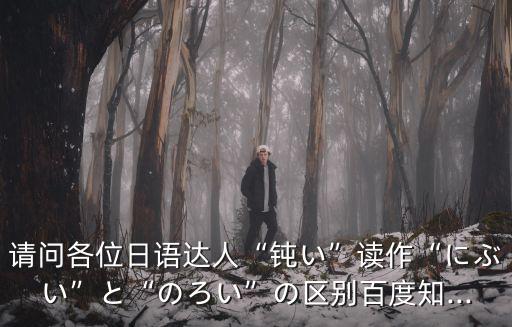 鈍怎么讀,日本鈍い的英文是什么意思?