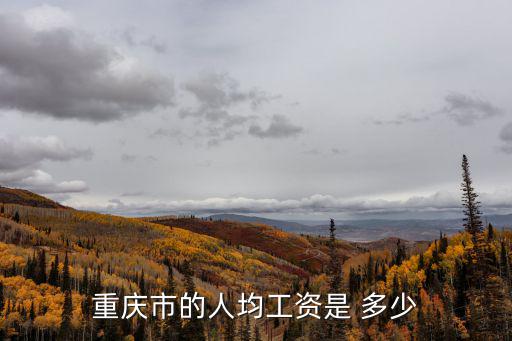 重慶市人均社平工資2019，重慶人均收入是多少