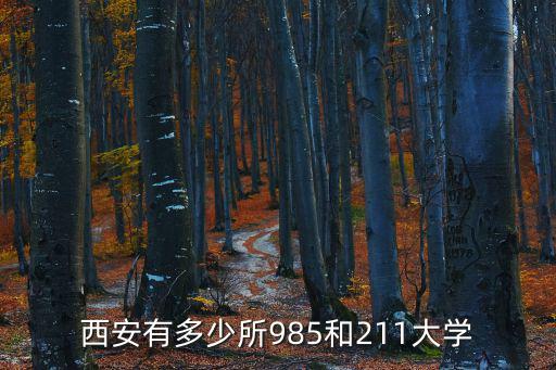 西安有多少所985和211大學