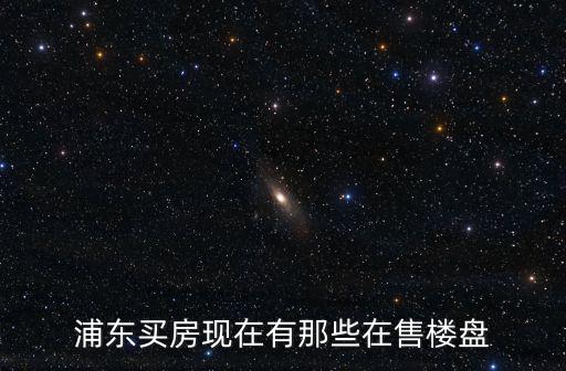 上海浦東星河灣樓盤，上海浦東新區蘆潮港房產現在的價錢是多少一個平方米