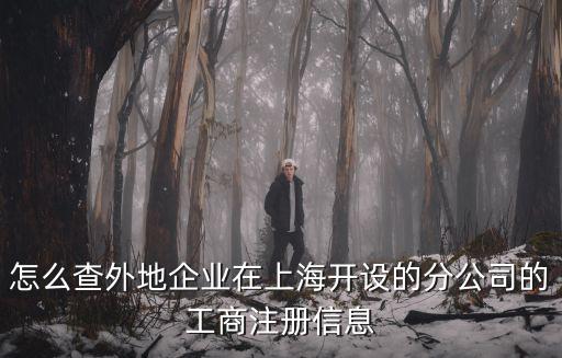 怎么查外地企業在上海開設的分公司的工商注冊信息