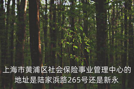 上海市黃浦區社會保險事業管理中心的地址是陸家浜路265號還是新永