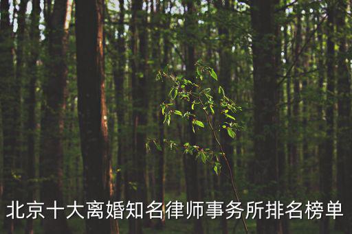 北京十大離婚知名律師事務所排名榜單