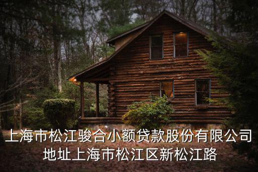 上海市松江駿合小額貸款股份有限公司 地址上海市松江區新松江路