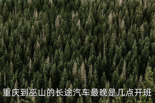 重慶市巫山縣董平明，重慶市巫山縣田家煤礦事件
