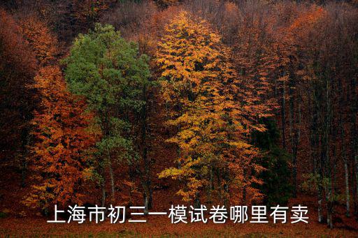 2018上海市初三化學(xué)一模卷，上海市初三一模試卷哪里有賣