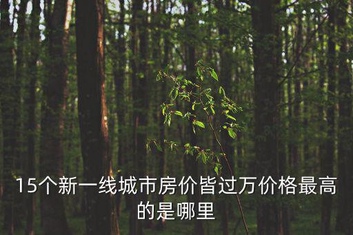 15個新一線城市房價皆過萬價格最高的是哪里