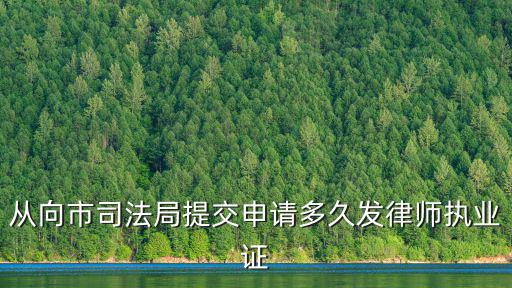 重慶市律師執業申請時間，您好石律師我在重慶本地法院申請強制執行今年3月21日開始