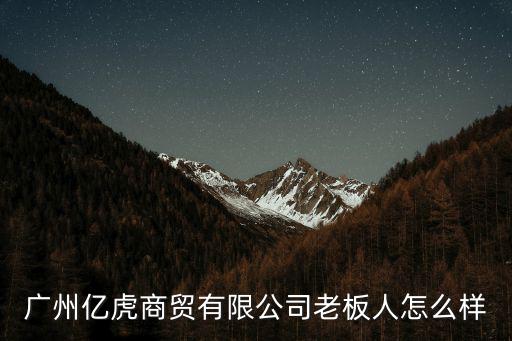 廣州億虎商貿有限公司老板人怎么樣