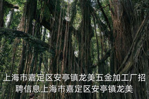 上海市嘉定區安亭鎮龍美五金加工廠招聘信息上海市嘉定區安亭鎮龍美