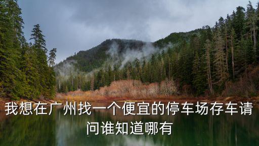 我想在廣州找一個便宜的停車場存車請問誰知道哪有