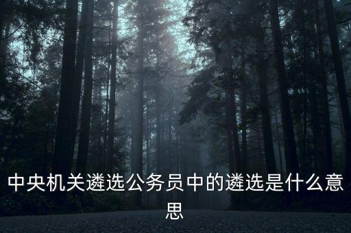 中央機關遴選公務員中的遴選是什么意思