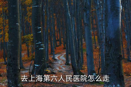 上海市第六人民醫(yī)院 高琦，上海市第六人民醫(yī)院