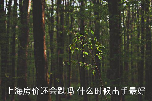 明年上海的房價(jià)如何，上海房價(jià)還會(huì)跌嗎 什么時(shí)候出手最好