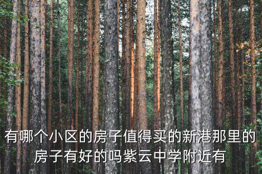 有哪個小區的房子值得買的新港那里的房子有好的嗎紫云中學附近有