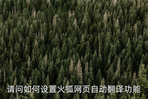 請問如何設置火狐網頁自動翻譯功能