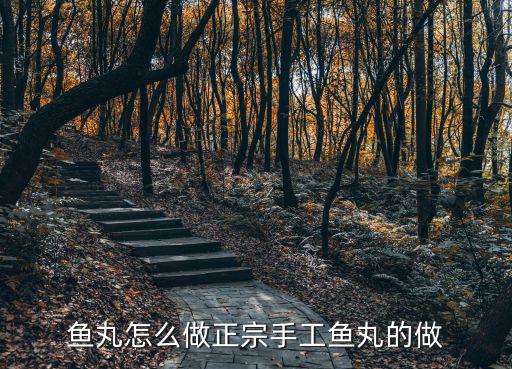 正宗手工魚丸的做法,魚丸怎么做好吃!
