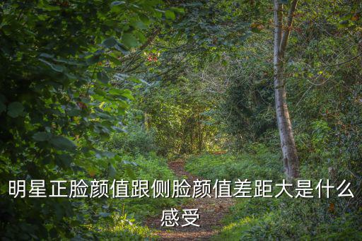 明星正臉顏值跟側臉顏值差距大是什么感受