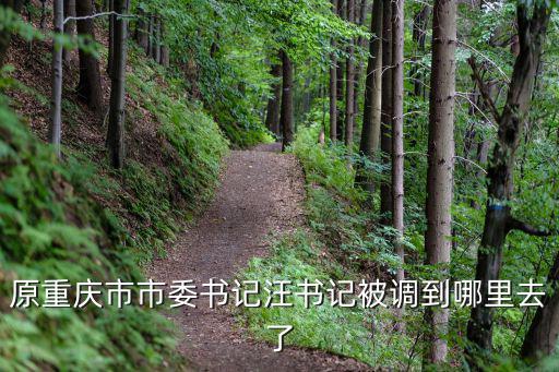 重慶市川劇段金汕，原重慶市市委書記汪書記被調到哪里去了