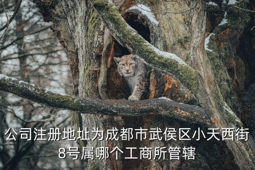 公司注冊地址為成都市武侯區(qū)小天西街8號屬哪個工商所管轄