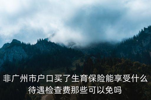 非廣州市戶口買了生育保險(xiǎn)能享受什么待遇檢查費(fèi)那些可以免嗎