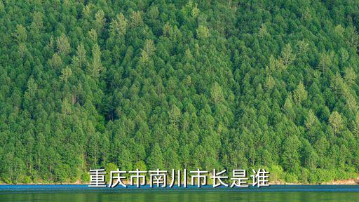 1996年重慶市市長(zhǎng)是誰，重慶市市長(zhǎng)是哪個(gè)