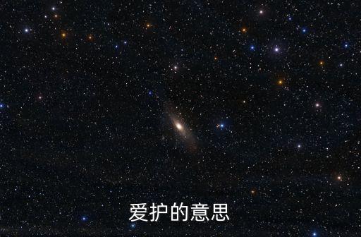 愛護的近義詞,保護的近義詞:愛護、庇護、保障、護衛