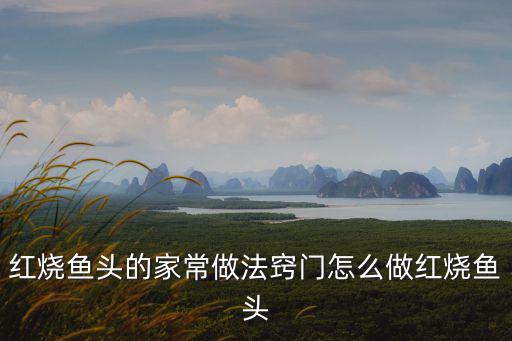 紅燒魚頭的家常做法竅門怎么做紅燒魚頭