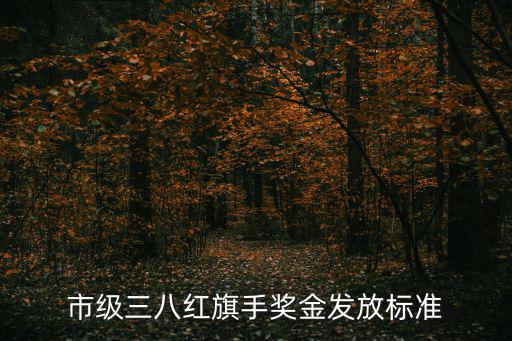 上海市三八紅旗手 比例，市級三八紅旗手獎金發(fā)放標準