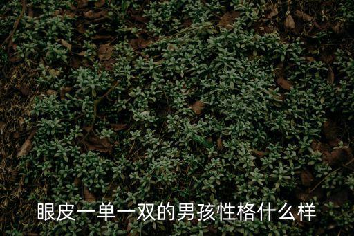 眼皮一單一雙的男孩性格什么樣